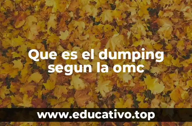 Que es el dumping segun la omc