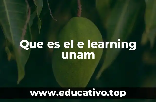 Que es el e learning unam