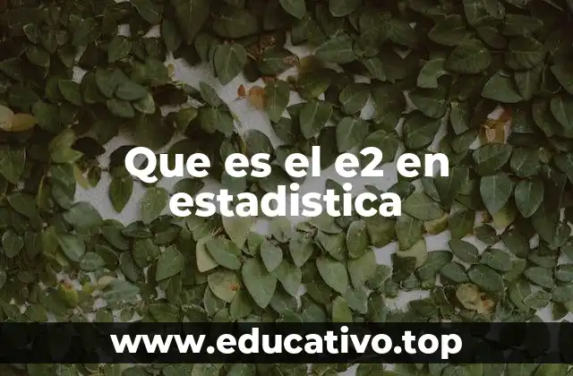 Que es el e2 en estadistica