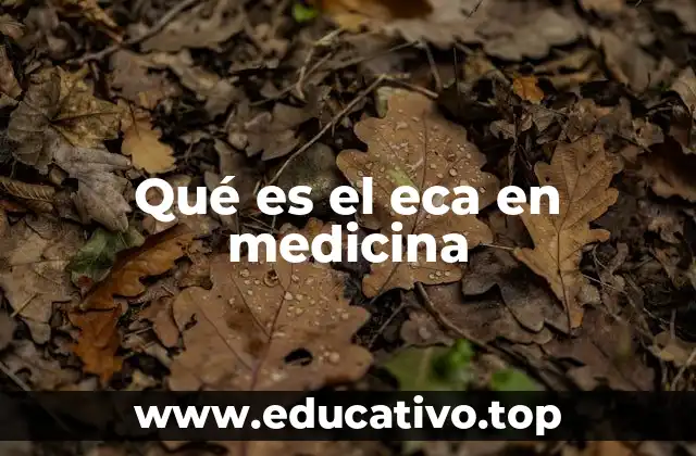 Qué es el eca en medicina