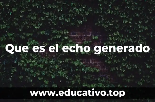 Que es el echo generado