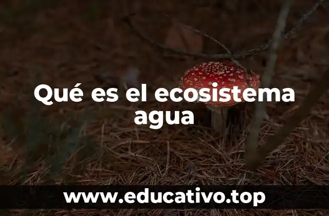 Qué es el ecosistema agua