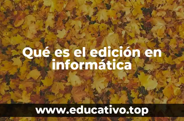 Qué es el edición en informática