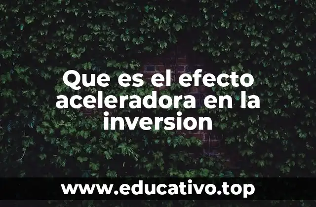 Que es el efecto aceleradora en la inversion