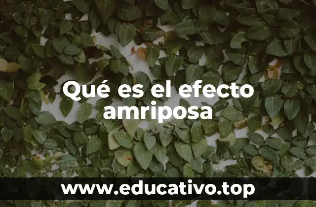 Qué es el efecto amriposa