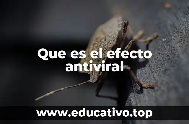 Que es el efecto antiviral