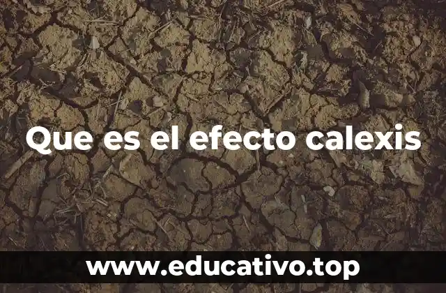 Que es el efecto calexis