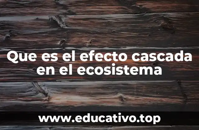 Que es el efecto cascada en el ecosistema