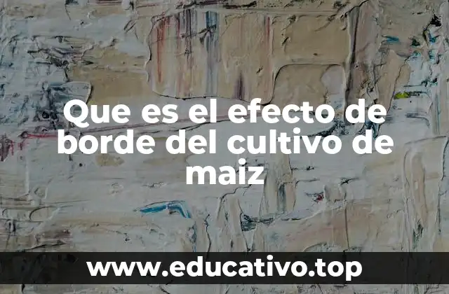 Que es el efecto de borde del cultivo de maiz