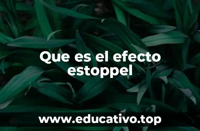 La importancia del efecto estoppel en el derecho procesal
