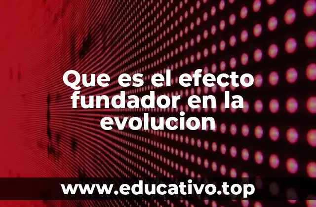Que es el efecto fundador en la evolucion
