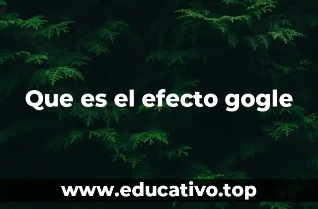 Que es el efecto gogle