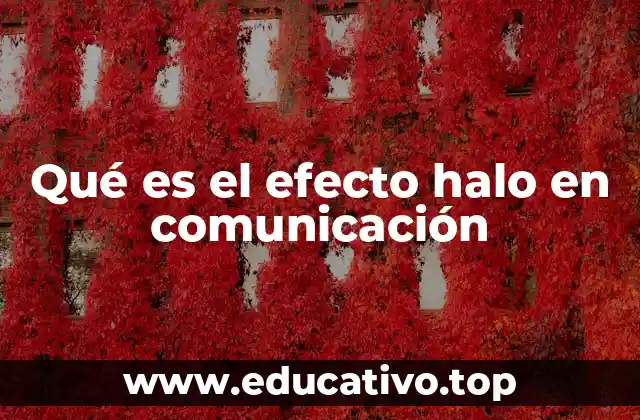 Qué es el efecto halo en comunicación