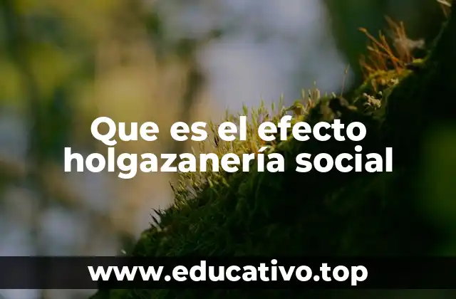 Que es el efecto holgazanería social