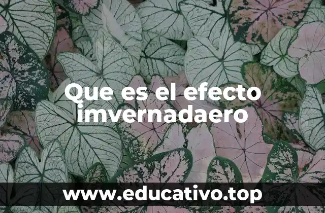 Cambios emocionales y físicos durante el invierno