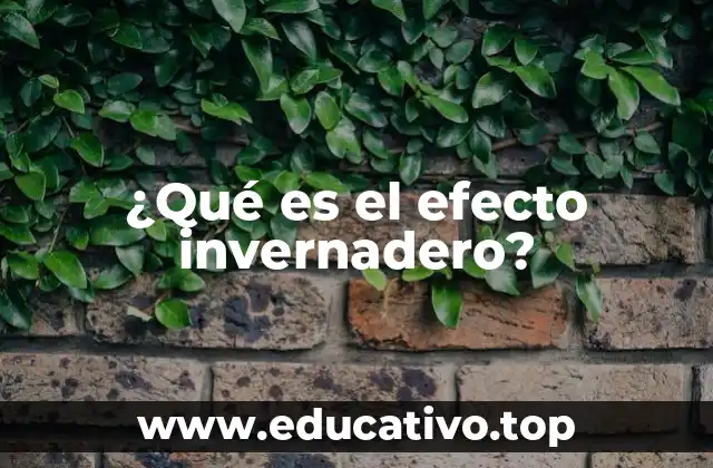 ¿Qué es el efecto invernadero?