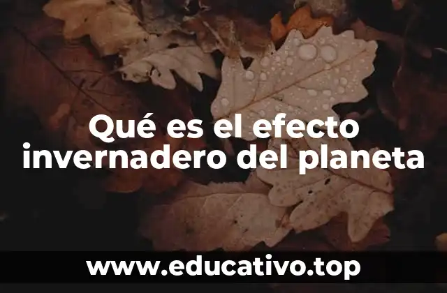Qué es el efecto invernadero del planeta