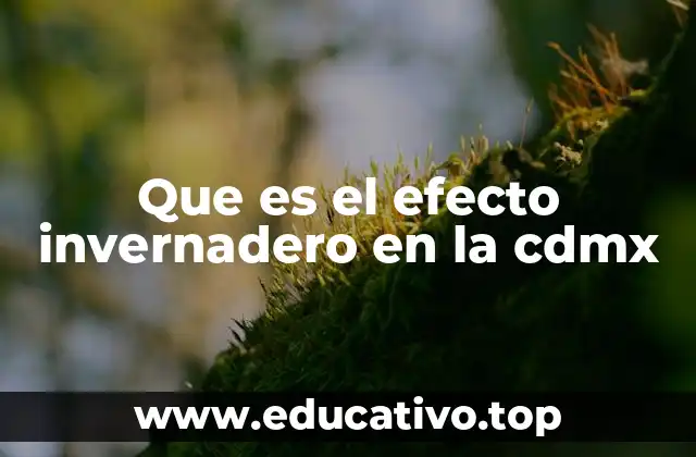 Que es el efecto invernadero en la cdmx