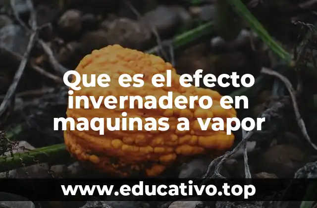 Que es el efecto invernadero en maquinas a vapor