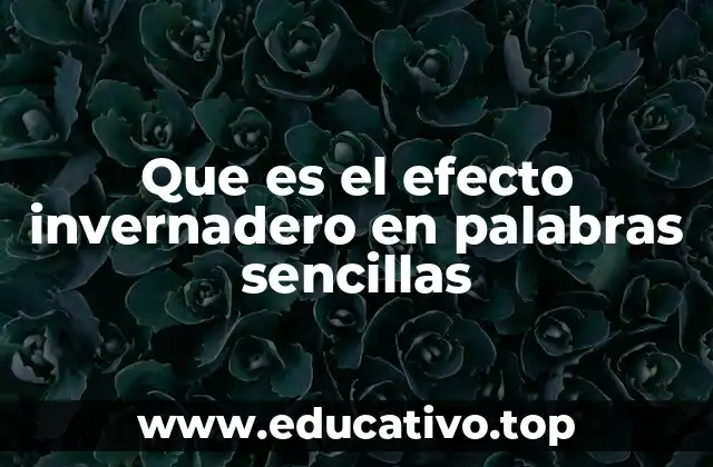 Que es el efecto invernadero en palabras sencillas