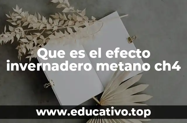 Que es el efecto invernadero metano ch4