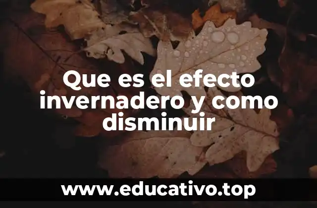 Cómo el efecto invernadero influye en el clima y el medio ambiente