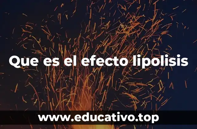 Que es el efecto lipolisis