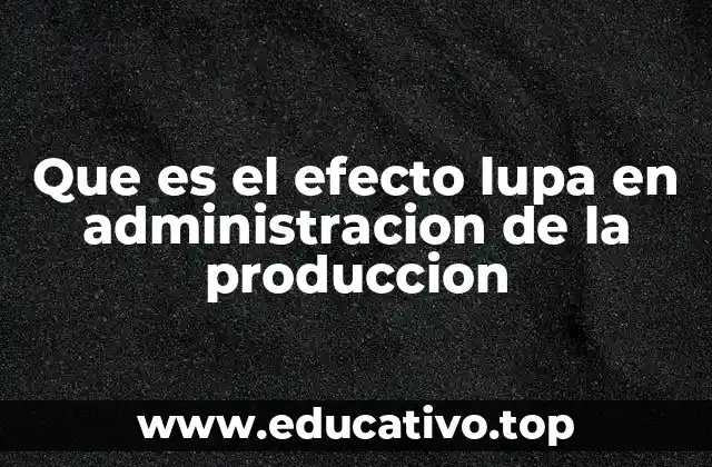 Cómo el efecto lupa impacta la eficiencia de la producción