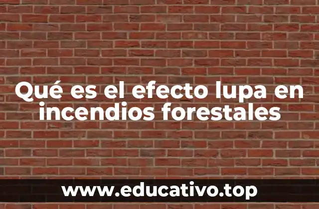 Qué es el efecto lupa en incendios forestales