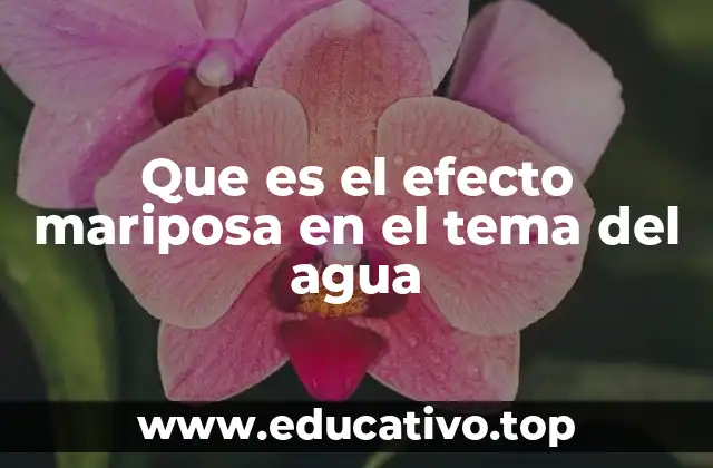 Que es el efecto mariposa en el tema del agua