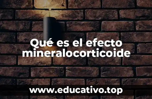 Qué es el efecto mineralocorticoide