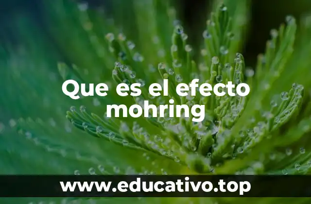 Que es el efecto mohring