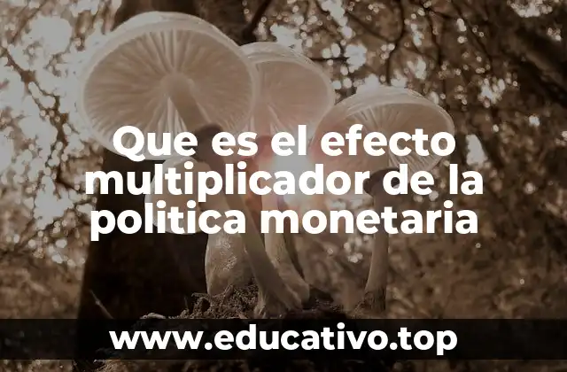 Que es el efecto multiplicador de la politica monetaria