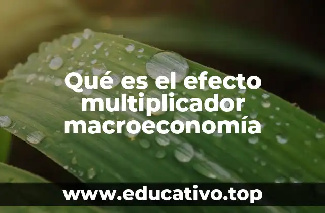 Qué es el efecto multiplicador macroeconomía