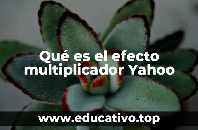 Qué es el efecto multiplicador Yahoo