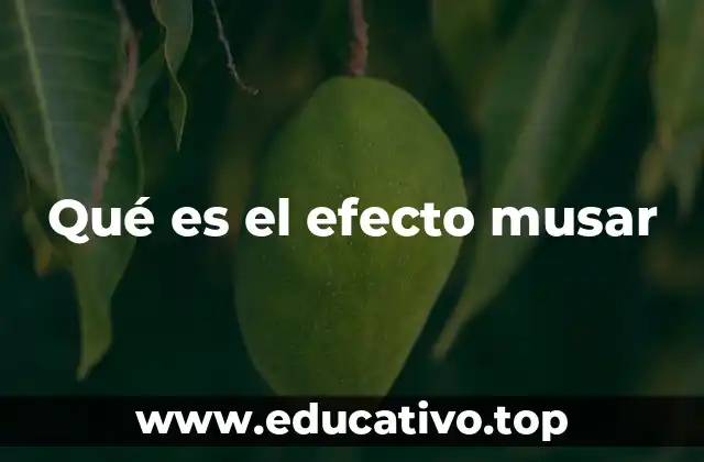 Qué es el efecto musar