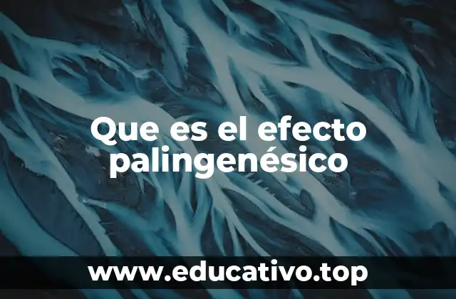 Que es el efecto palingenésico