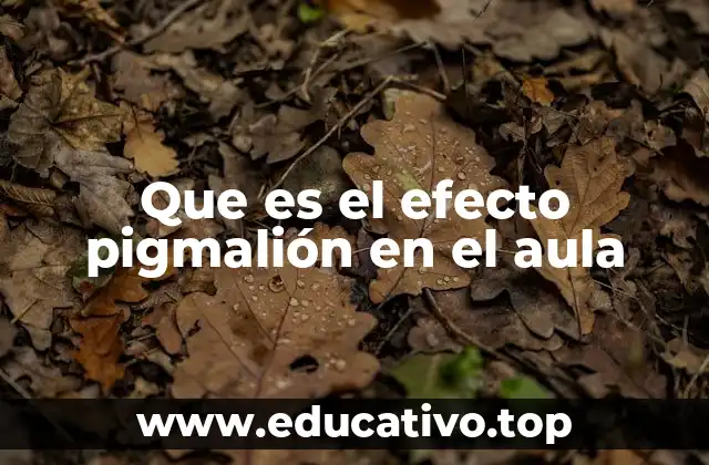 Que es el efecto pigmalión en el aula