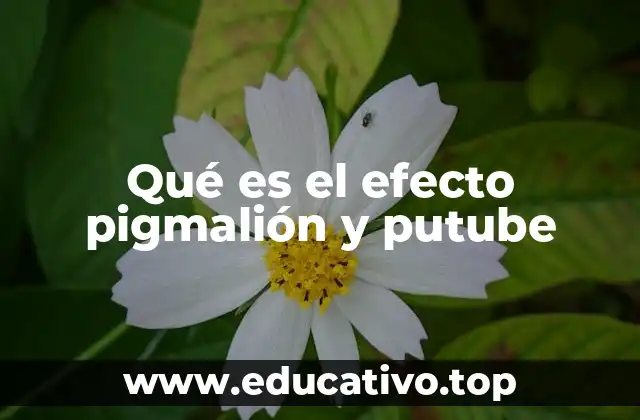 Qué es el efecto pigmalión y putube