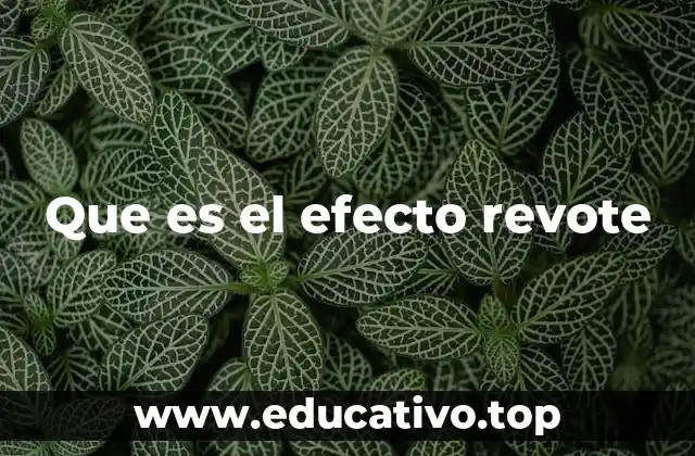 Que es el efecto revote