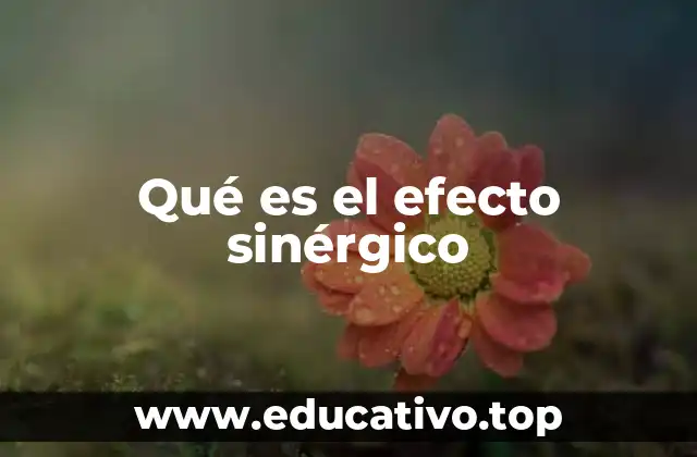 Qué es el efecto sinérgico