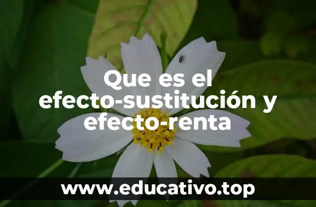 Que es el efecto-sustitución y efecto-renta