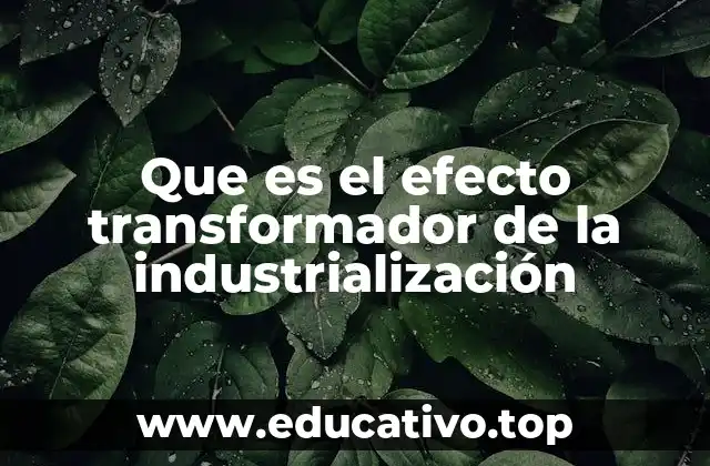 Que es el efecto transformador de la industrialización