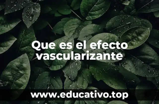 Que es el efecto vascularizante