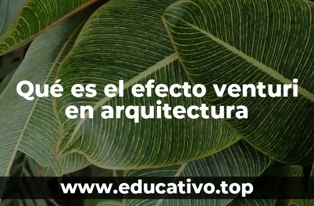Qué es el efecto venturi en arquitectura
