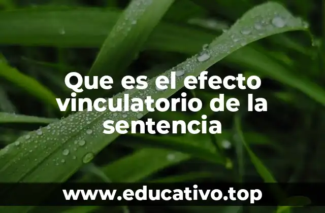 Que es el efecto vinculatorio de la sentencia