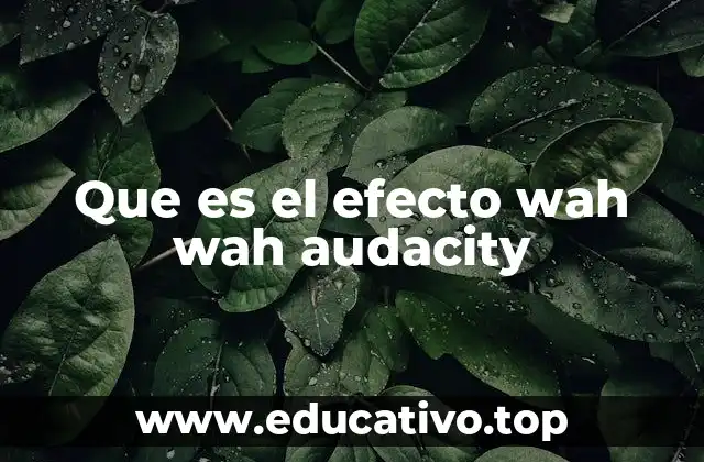 Que es el efecto wah wah audacity