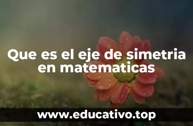 Que es el eje de simetria en matematicas