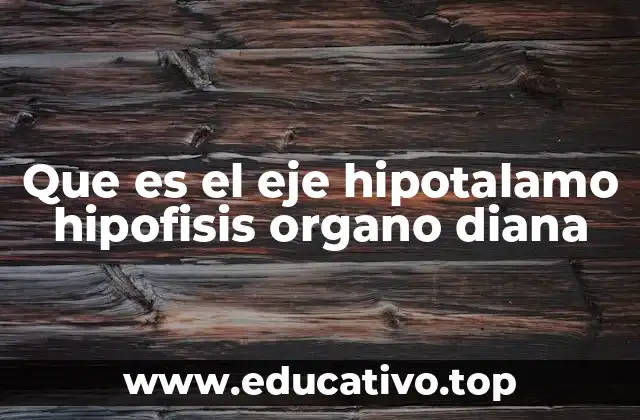 Que es el eje hipotalamo hipofisis organo diana