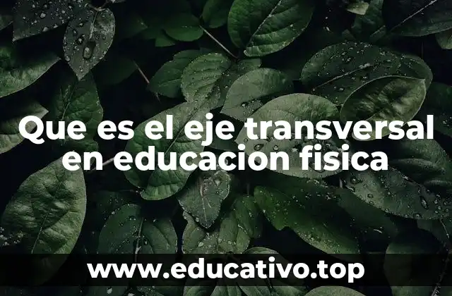 Que es el eje transversal en educacion fisica